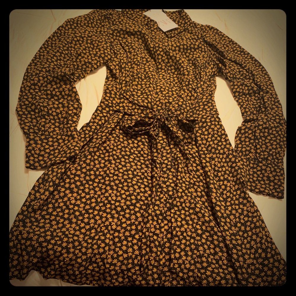 Zara dress